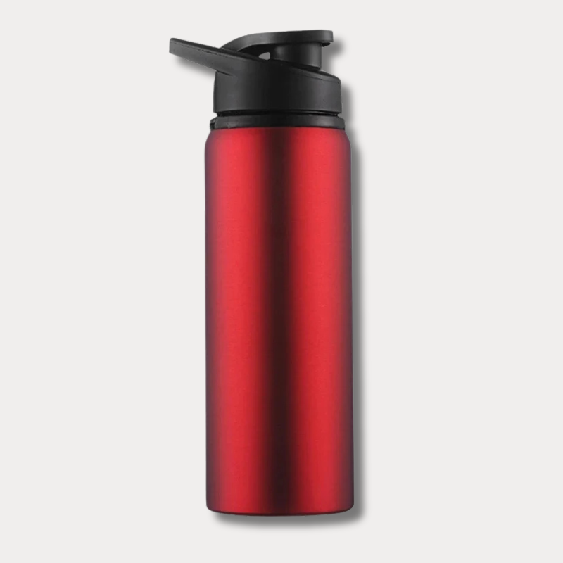 Gourde inox