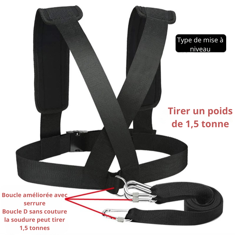 Harnais de vitesse